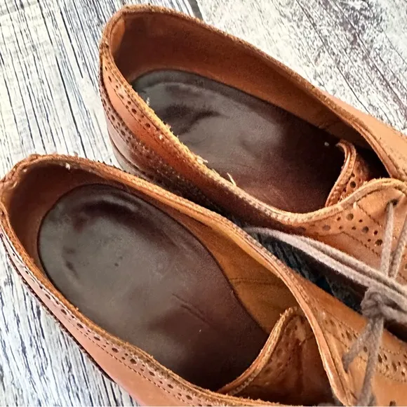 Allen Edmond Sanford Leather Cap Toe Derby Oxfords in Walnut