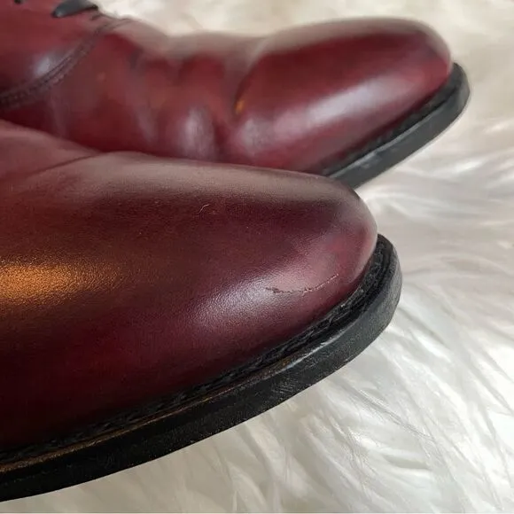 Allen Edmonds CARLYLE Men's Leather Plain-Toe Oxfords 10 EEE Dark Chili USA