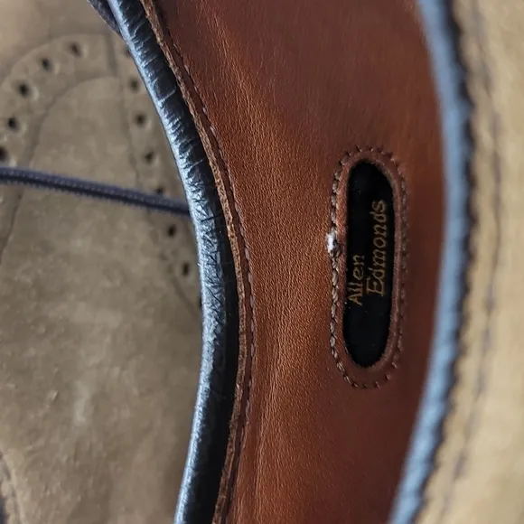 Allen Edmonds Schanutal Brown Nutmeg Suede wingtip Oxfords Men's 9 D