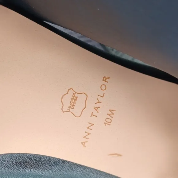 Ann Taylor Leather Boots NWOT