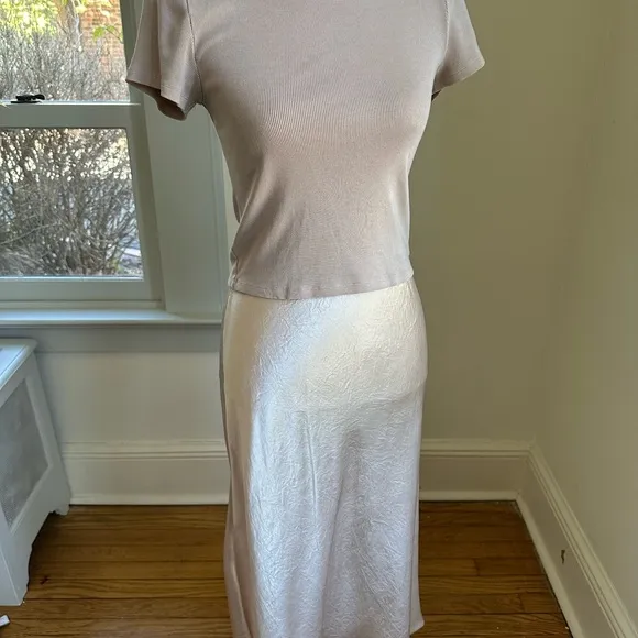 Aritzia Babaton Silky Blush Slip Skirt size 6