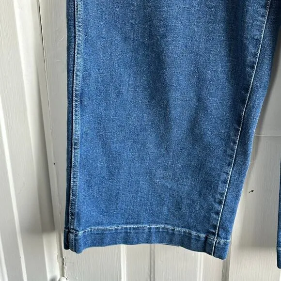 Banana Republic High Rise Wide Leg Crop Jeans Long 31L