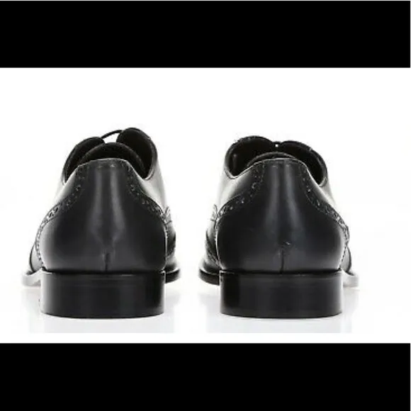 BRUNO MAGLI Alvar Leather Wingtip Oxfords Lace Up