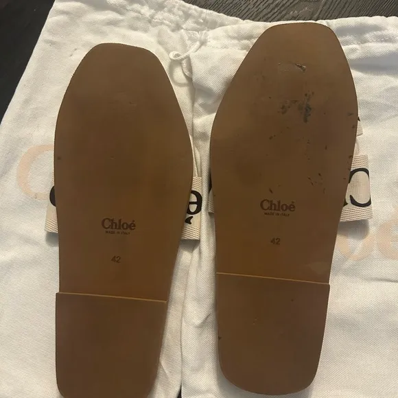 Chloe Sandals Flat Shoes Mules Woody Canvas Calfskin Women's US 42