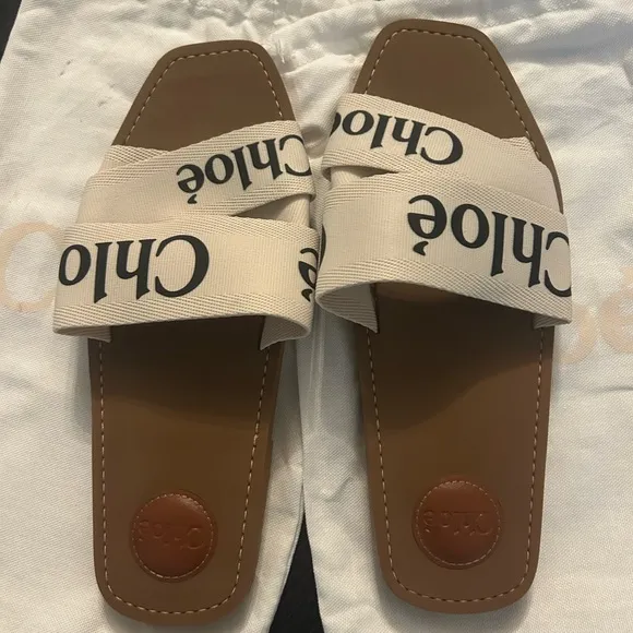 Chloe Sandals Flat Shoes Mules Woody Canvas Calfskin Women's US 42
