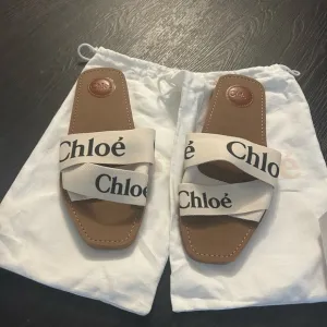 Chloe Sandals Flat Shoes Mules Woody Canvas Calfskin Women's US 42
