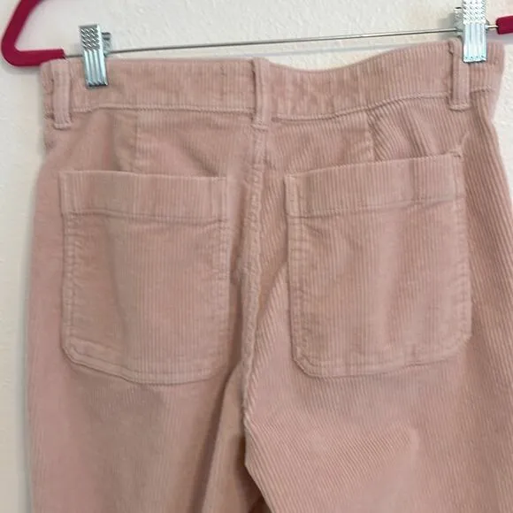 Everlane Size 2 Pink Blush Straight Leg Wide Whale Corduroy Casual Jean Pants