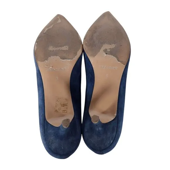 Everlane Womens The Editor Kitten Heels 8 Blue Suede Pointed Toe Corpcore Luxury