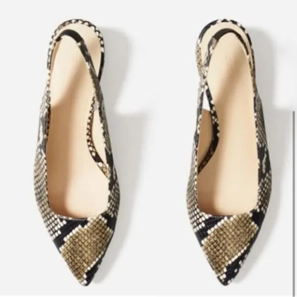 Everlane The Editor Snake Print Leather Slingback Pointed Toe Block Heels 9