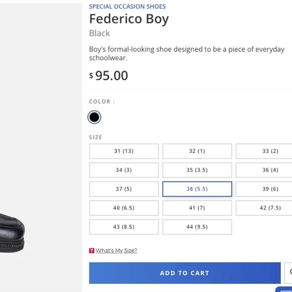 GEOX Federico Boys slip on loafer
