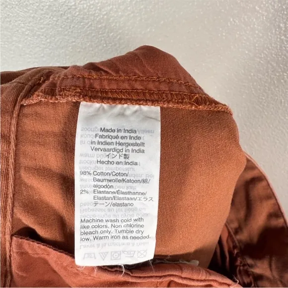 Madewell Pleated Burnt Sienna Dark Rust Terrakotta High Waisted Wide Leg Pants 4