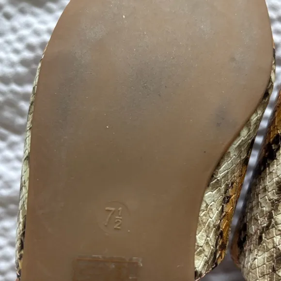 Madewell The Minimalist Cory Mule in Snake Embossed Leather