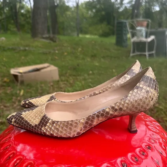 Manolo Blahnik Snakeskin Kitten Heels
