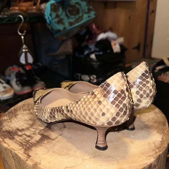 Manolo Blahnik Snakeskin Kitten Heels