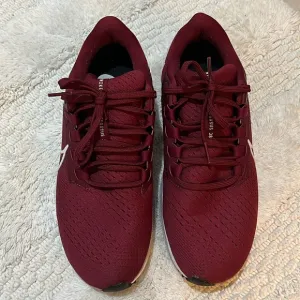 Men's Nike Air Zoom Pegasus 38 Burgundy  Running Shoes #CZ1901 601