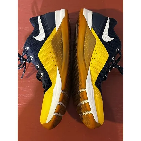 Nike x‎ Michigan Wolverines Training Shoes Blue Yellow Athletic Sneakers