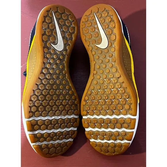Nike x‎ Michigan Wolverines Training Shoes Blue Yellow Athletic Sneakers