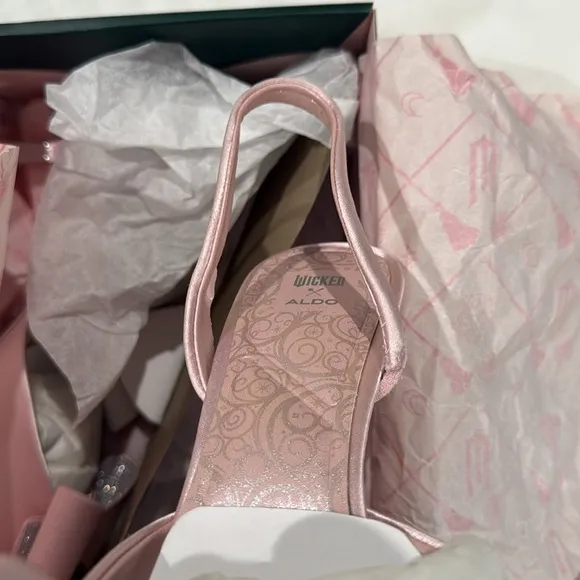 NWT ALDO x WICKED Perfectly Pink Pointed Kitten Heels