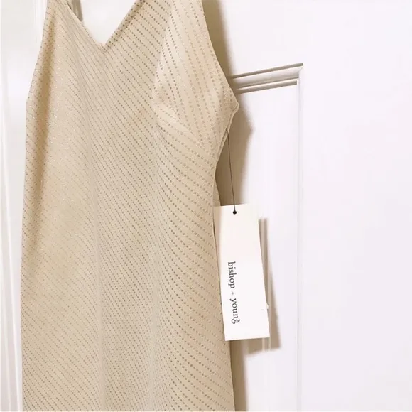 NWT BISHOP   YOUNG Faux Suede Micro Stud Shimmer Mini Slip Dress Size Small