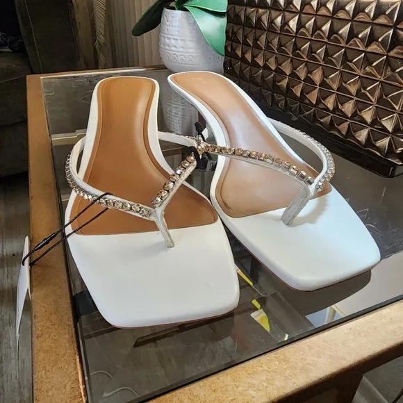 NWT Embellished Zara Kitten Heels