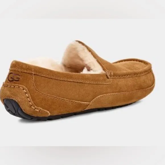 UGG MENS ASCOT CHESTNUT size 8 and size 9- BRAND NEW