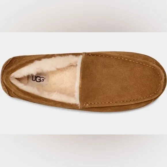 UGG MENS ASCOT CHESTNUT size 8 and size 9- BRAND NEW