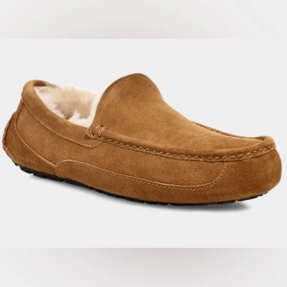 UGG MENS ASCOT CHESTNUT size 8 and size 9- BRAND NEW