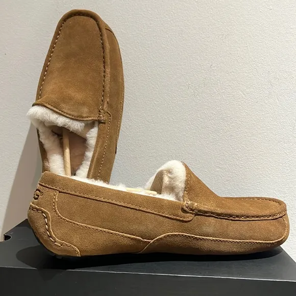 UGG MENS ASCOT CHESTNUT size 8 and size 9- BRAND NEW