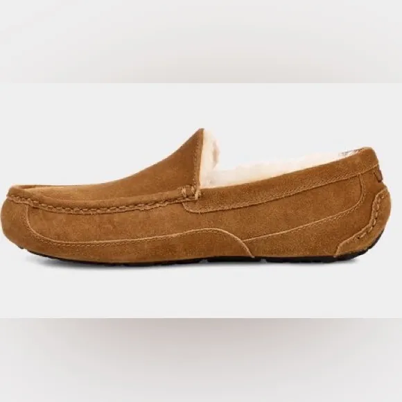 UGG MENS ASCOT CHESTNUT size 8 and size 9- BRAND NEW