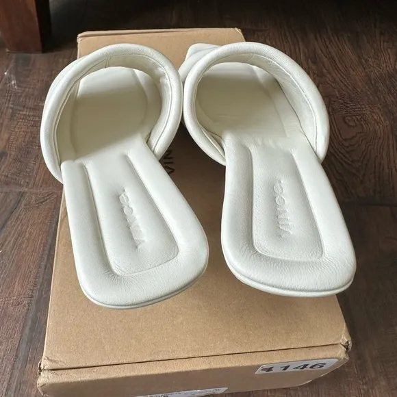 Vince |  Ceil Mule