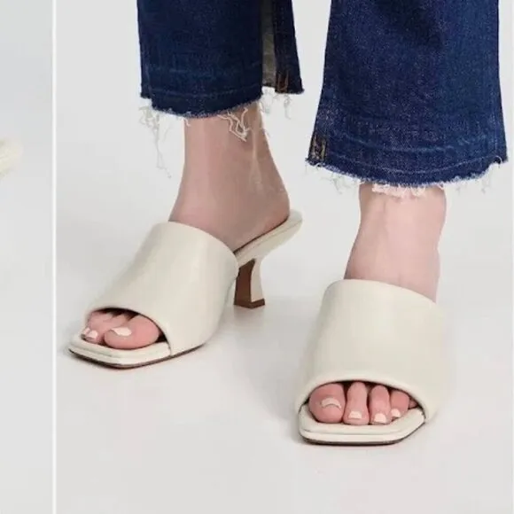 Vince |  Ceil Mule